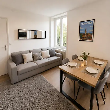 L'escale D'alsace, Modern 2-bedroom With Parking And Train Station Mulhouse